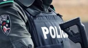 POLICE NAB SUSPECTED ROBBER, RECOVER GUNS IN IMO