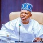 SHETTIMA REVEALS ALLEGED PLOT TO TURN TINUBU AGAINST HIM