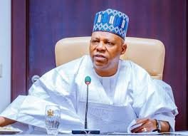 SHETTIMA REVEALS ALLEGED PLOT TO TURN TINUBU AGAINST HIM
