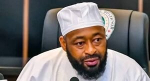 NIGER IMPOSES 24-HOUR CURFEW, SUSPENDS MINING ACTIVITIES