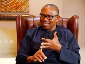 EGBONYI NDC STAKEHOLDERS PLEDGE SUPPORT FOR PETER OBI